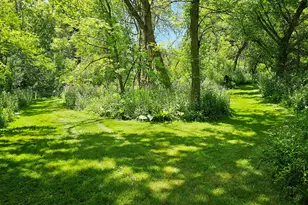 10700 Sunfield Rd, Sunfield, MI 48890 - Photo 149