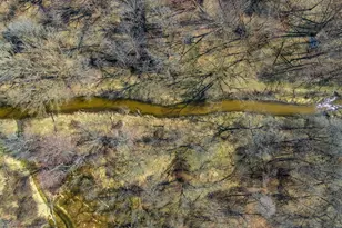 10700 Sunfield Rd, Sunfield, MI 48890 - Photo 113