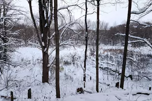 10700 Sunfield Rd, Sunfield, MI 48890 - Photo 139