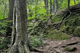 10700 Sunfield Rd, Sunfield, MI 48890 - Photo 141