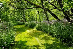 10700 Sunfield Rd, Sunfield, MI 48890 - Photo 151