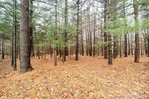 6264 140th Ave, Holland, MI 49423 - Photo 53