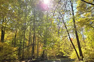 840 Black River Rd, Bangor, MI 49013 - Photo 41