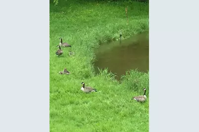 840 Black River Road, Bangor, MI 49013 - Photo 37