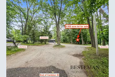 V/L Carleton Street, Whitehall, MI 49461 - Photo 3