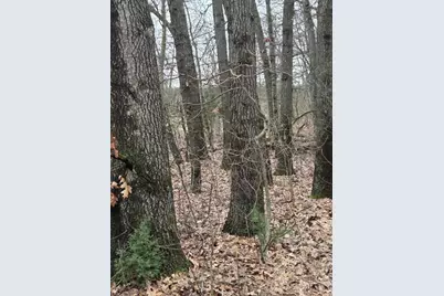 26641 60th Avenue, Mattawan, MI 49071 - Photo 43