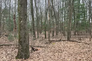 26641 60th Ave, Mattawan, MI 49071 - Photo 41