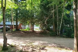 20308 Lakeview Dr, Tustin, MI 49688 - Photo 41