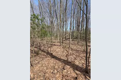 8378 Norconk Road, Bear Lake, MI 49614 - Photo 7