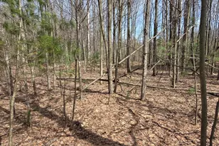 8378 Norconk Rd, Bear Lake, MI 49614 - Photo 7