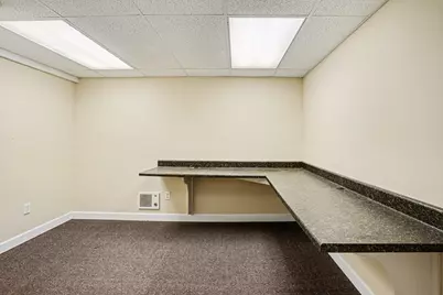 113 W Ferry Street, Berrien Springs, MI 49103 - Photo 9