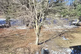 6883 62nd St, South Haven, MI 49090 - Photo 11