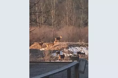 371 N Stiles Road, Ludington, MI 49431 - Photo 29