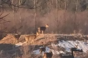 371 N Stiles Rd, Ludington, MI 49431 - Photo 29