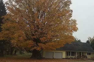 371 N Stiles Rd, Ludington, MI 49431 - Photo 3