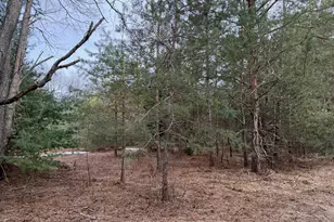 Pihl Rd, Kaleva, MI 49645 - Photo 1