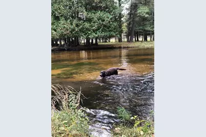 9240 W River Road, Irons, MI 49644 - Photo 3