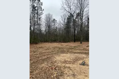 10365 Cadillac Drive, Lake, MI 48632 - Photo 5