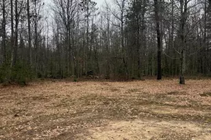 10365 Cadillac Dr, Lake, MI 48632 - Photo 5