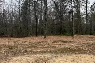 10365 Cadillac Dr, Lake, MI 48632 - Photo 27