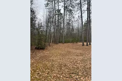 10365 Cadillac Drive, Lake, MI 48632 - Photo 21