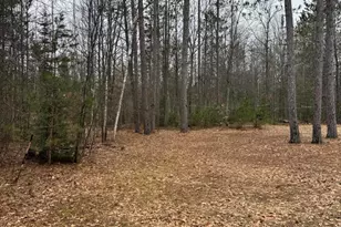 10365 Cadillac Dr, Lake, MI 48632 - Photo 21