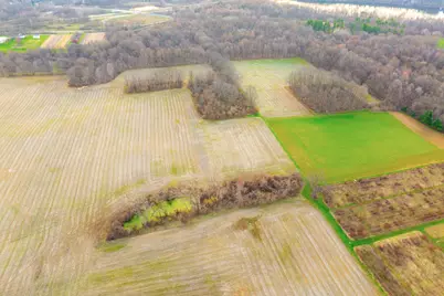 V/L Red Bud Trail, Berrien Springs, MI 49103 - Photo 11