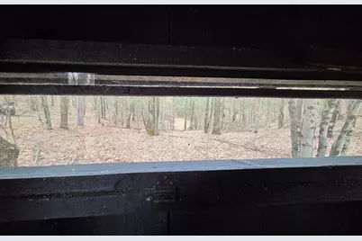 00 E Del Vandell Rd., Chase, MI 49623 - Photo 35