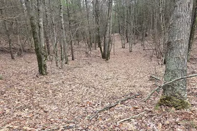 00 E Del Vandell Rd., Chase, MI 49623 - Photo 43