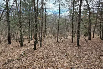 00 E Del Vandell Rd., Chase, MI 49623 - Photo 33