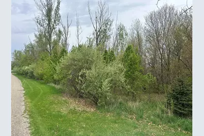 V/L Raintree, Sturgis, MI 49091 - Photo 9