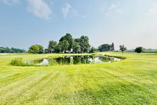 10035 Irish Rd, Vermontville, MI 49096 - Photo 11