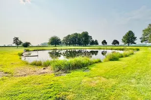 10035 Irish Rd, Vermontville, MI 49096 - Photo 9