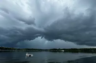 9266 E Francis Rd, Hesperia, MI 49421 - Photo 27