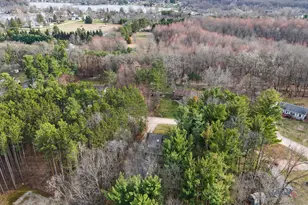 11531 Rutan Cir, Jerome, MI 49249 - Photo 51