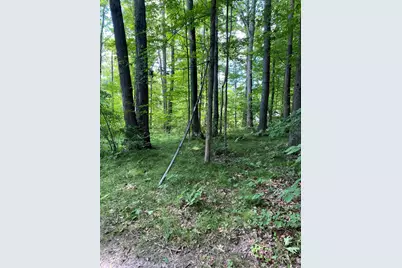 Elm Drive, Lakeview, MI 48850 - Photo 3