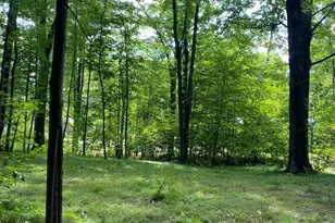 Elm Dr, Lakeview, MI 48850 - Photo 1