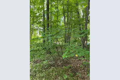 Elm Drive, Lakeview, MI 48850 - Photo 5