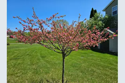 19836 Queens Court, Manchester, MI 48158 - Photo 41