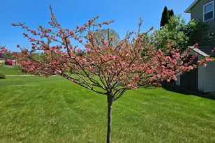 19836 Queens Ct, Manchester, MI 48158 - Photo 41