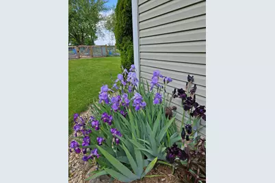 19836 Queens Court, Manchester, MI 48158 - Photo 43