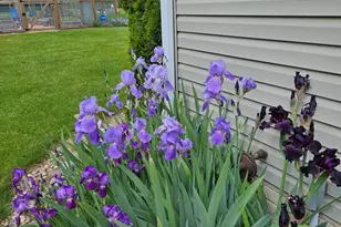 19836 Queens Ct, Manchester, MI 48158 - Photo 43