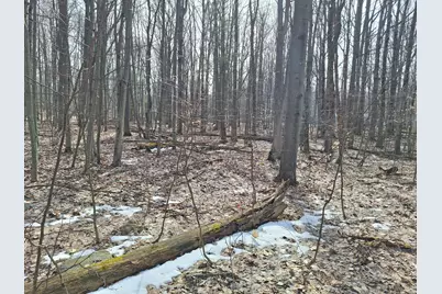 V/L Birch Street #LOT 10, 11, 12 BL 13, Ludington, MI 49431 - Photo 3