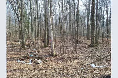 V/L Birch Street #LOT 10, 11, 12 BL 13, Ludington, MI 49431 - Photo 1