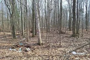 V/L Birch St, Ludington, MI 49431 - Photo 1