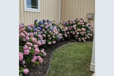 11362 E Shore Drive, Delton, MI 49046 - Photo 35