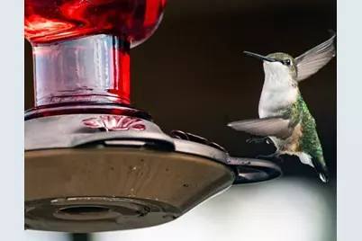 7258 S Crooked Lake Drive, Delton, MI 49046 - Photo 31