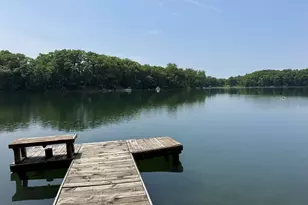 5859 N Utter Rd, Irons, MI 49644 - Photo 3