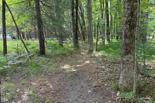 5859 N Utter Rd, Irons, MI 49644 - Photo 25