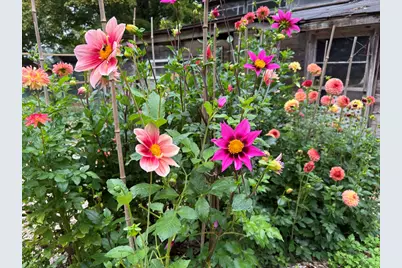 3017 Old Allegan Road, Fennville, MI 49408 - Photo 27